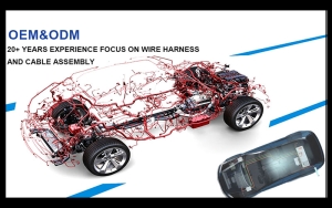 car boady wire harness