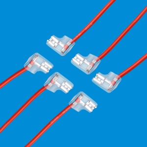 flag terminals