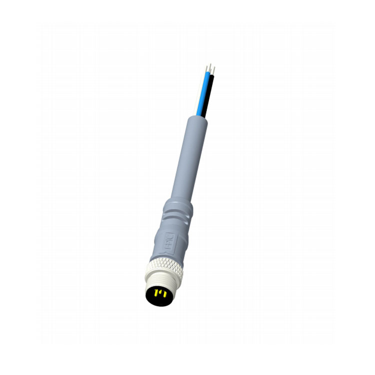 M12 Cable Assembly