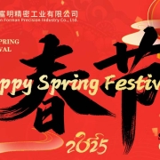 Spring Festival