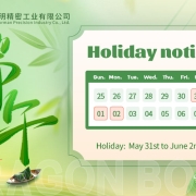 FPIC Dragon Boat Festival