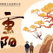 Double Ninth Festival 2025