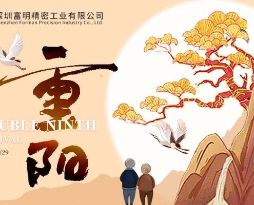 Double Ninth Festival 2025