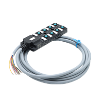 Custom Wiring Harness (1)